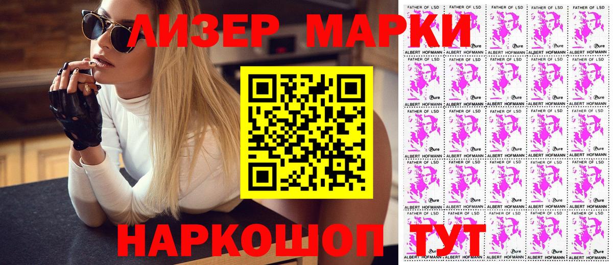 МЕФ Клинцы
