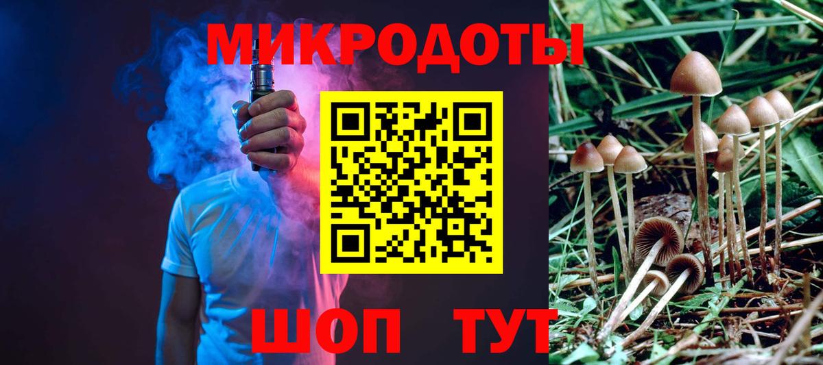Псилоцибиновые грибы Psilocybine cubensis Клинцы